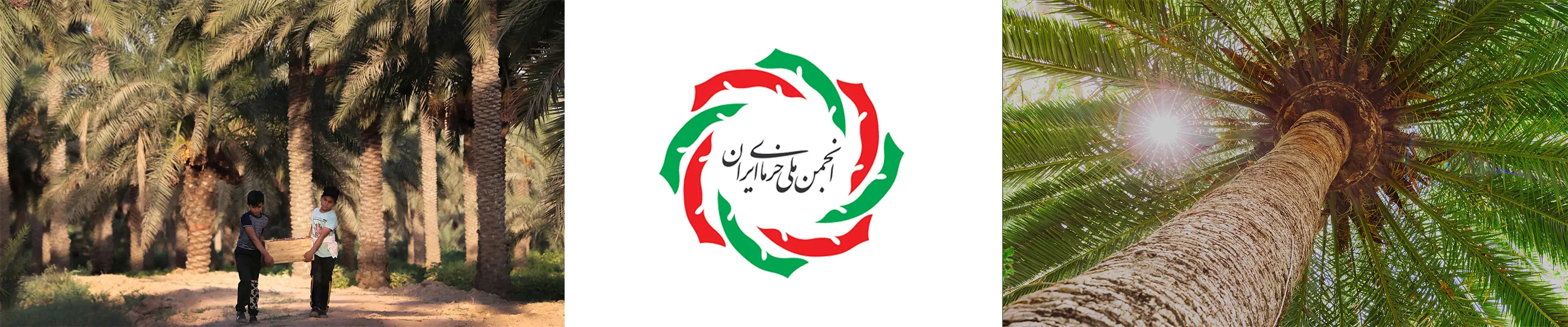 بنر 1