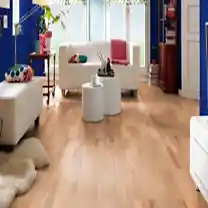 پارکت راش شرکت پارفیکا