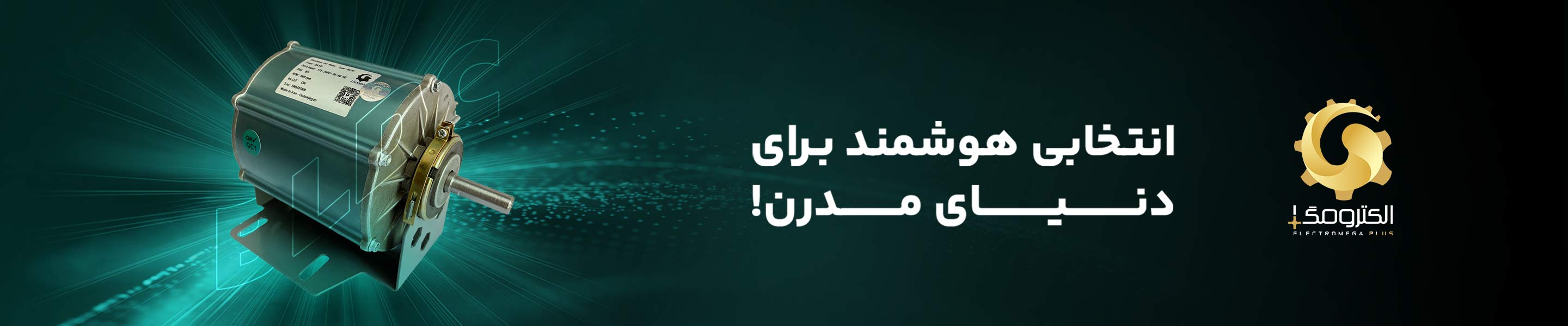 موتور های BLDC شرکت الکترومگا